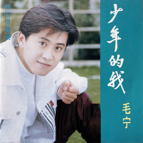 春风吻上我的脸歌词-毛宁