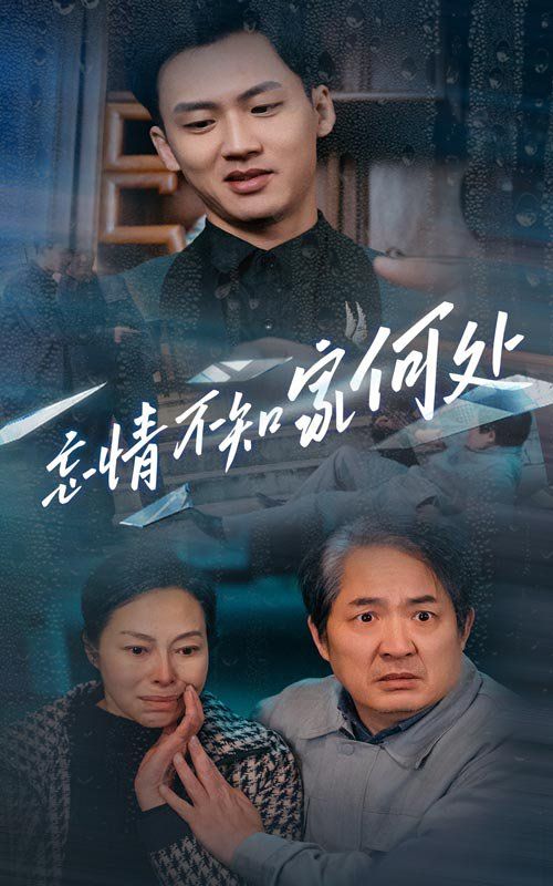 忘情不知家何处短剧全52集