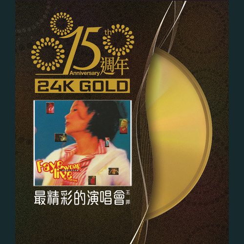 爱与痛的边缘 (Live)歌词-王菲