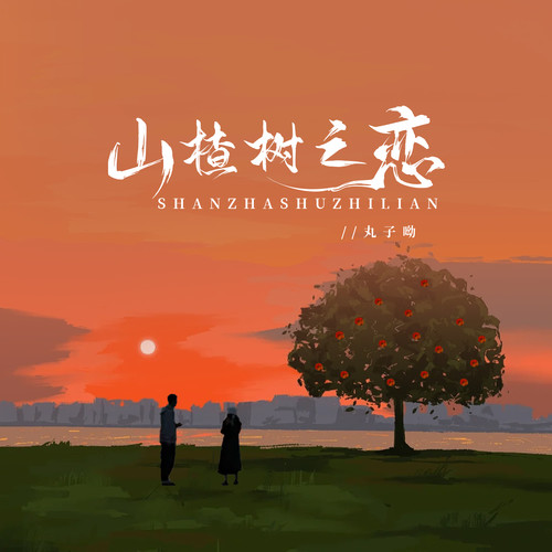 山楂树之恋 (伴奏)歌词-丸子呦
