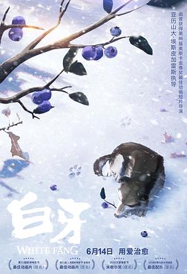 白牙动漫HD中字版