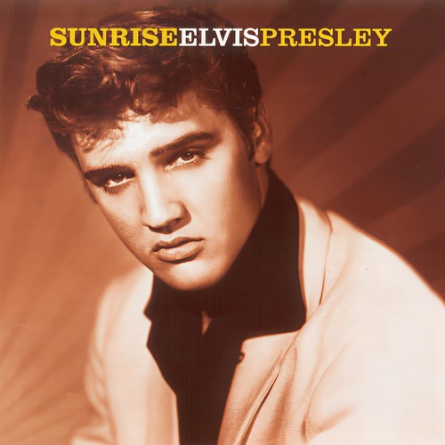 I Don't Care If the Sun Don't Shine (Live)歌词-Elvis Presley