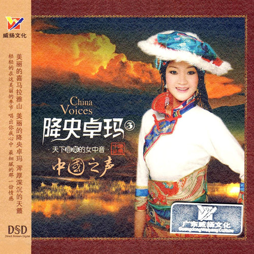 驼铃歌词-降央卓玛