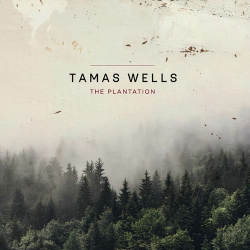 I threw a shoe at their Alsatian歌词-Tamas Wells