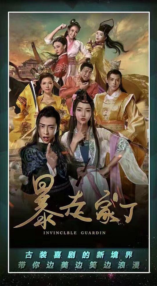 暴走家丁电视剧全12集