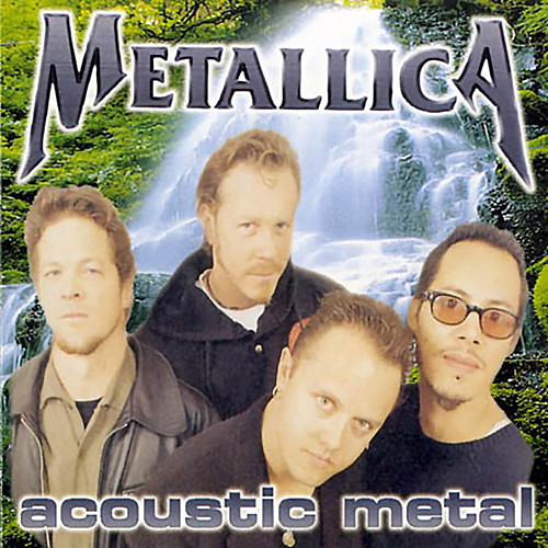 Nothing Else Matters歌词-Metallica
