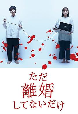 只是没离婚而已电视剧全12集