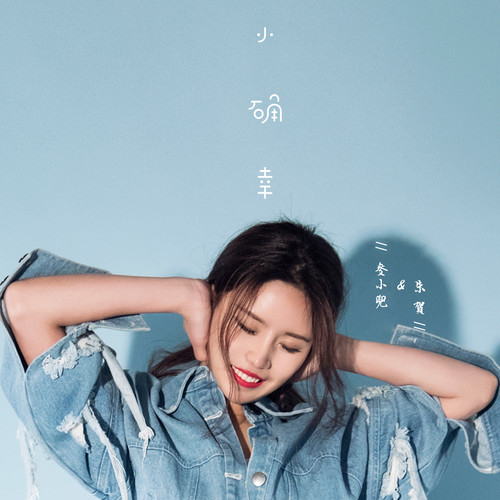 小确幸 (伴奏)歌词-麦小兜 / 朱贺