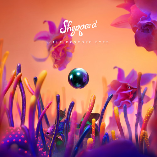 M.I.A.歌词-Sheppard
