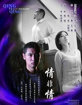 情非情电视剧全27集