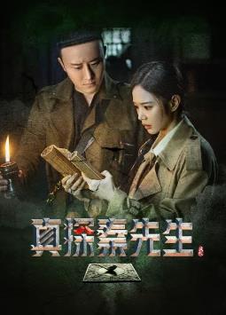 真探秦先生电视剧全24集