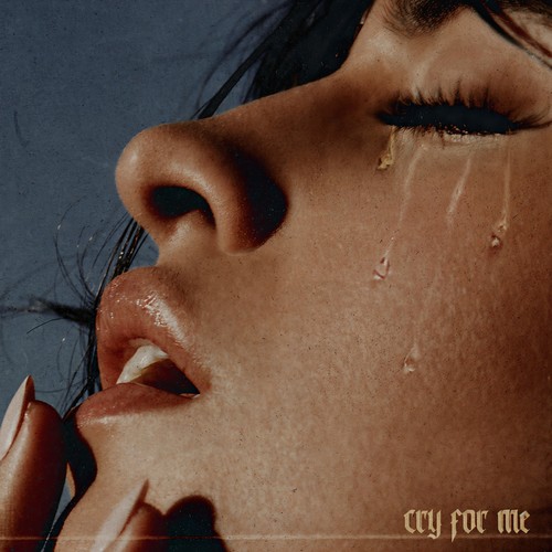 Cry for Me歌词-Camila Cabello