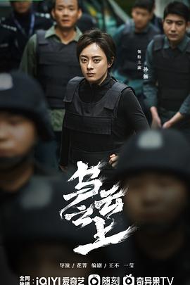 乌云之上电视剧全17集
