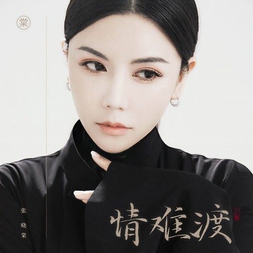 情难渡 (伴奏)歌词-张晓棠