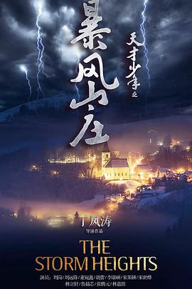天才少年之暴风山庄电影正片